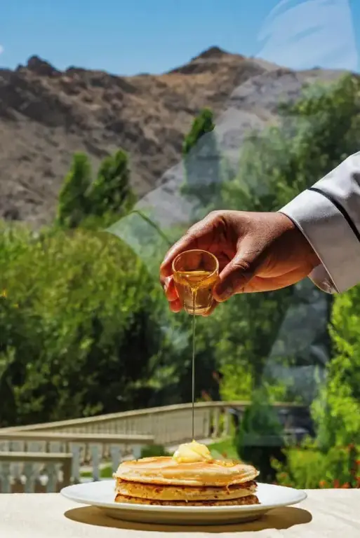 Лех: Hotel Ladakh Retreat