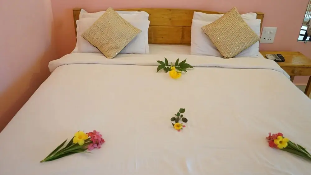 Калангут: Delta House
