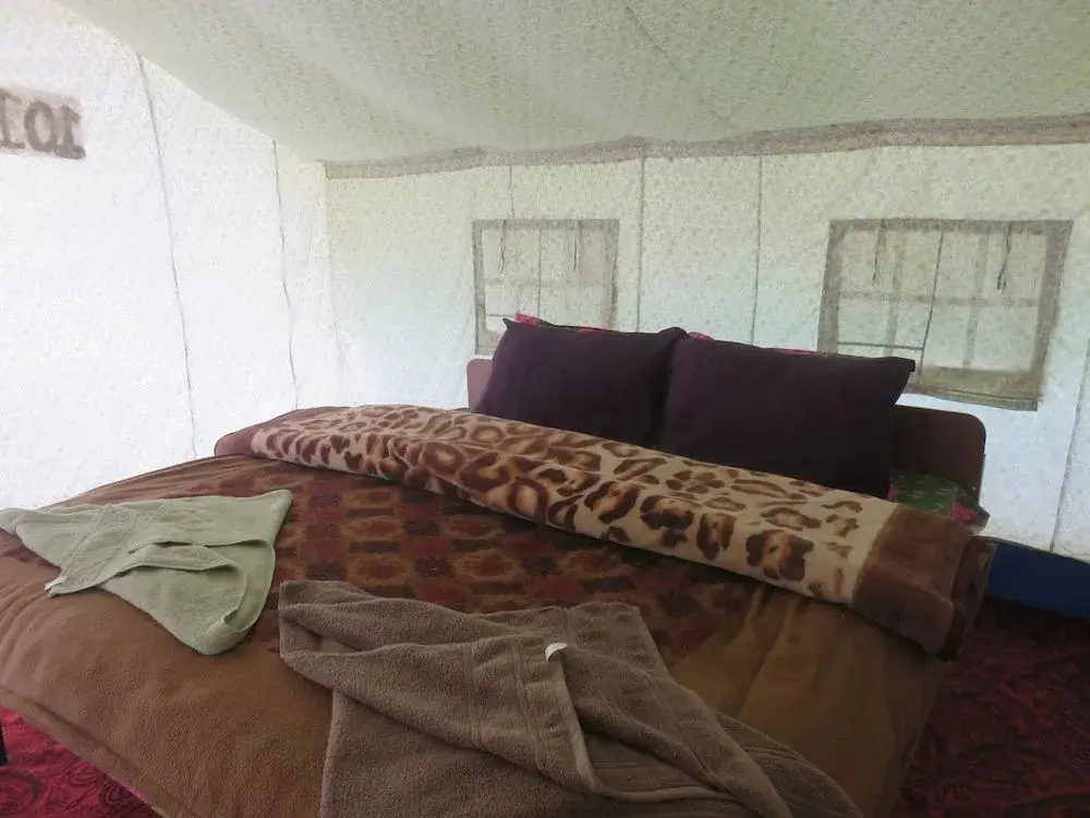 Панпан: Camp Blue Waters - Pangong