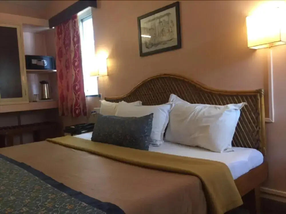 Панаджи: Hotel Gopika International