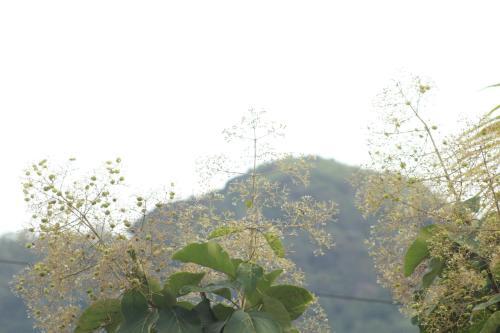 Муннар: Madathi Homestay