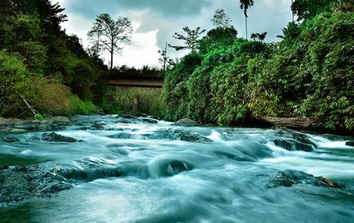 Муннар: Rivertree Munnar