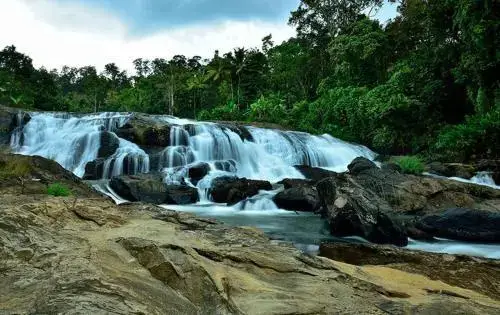 Муннар: Rivertree Munnar