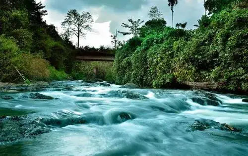 Rivertree Munnar — фото 1