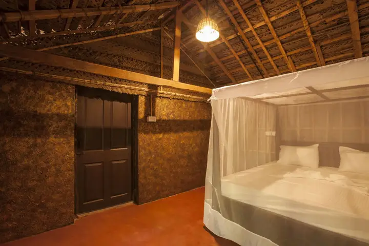 Южный Гоа: Palm Trees Ayurvedic Heritage