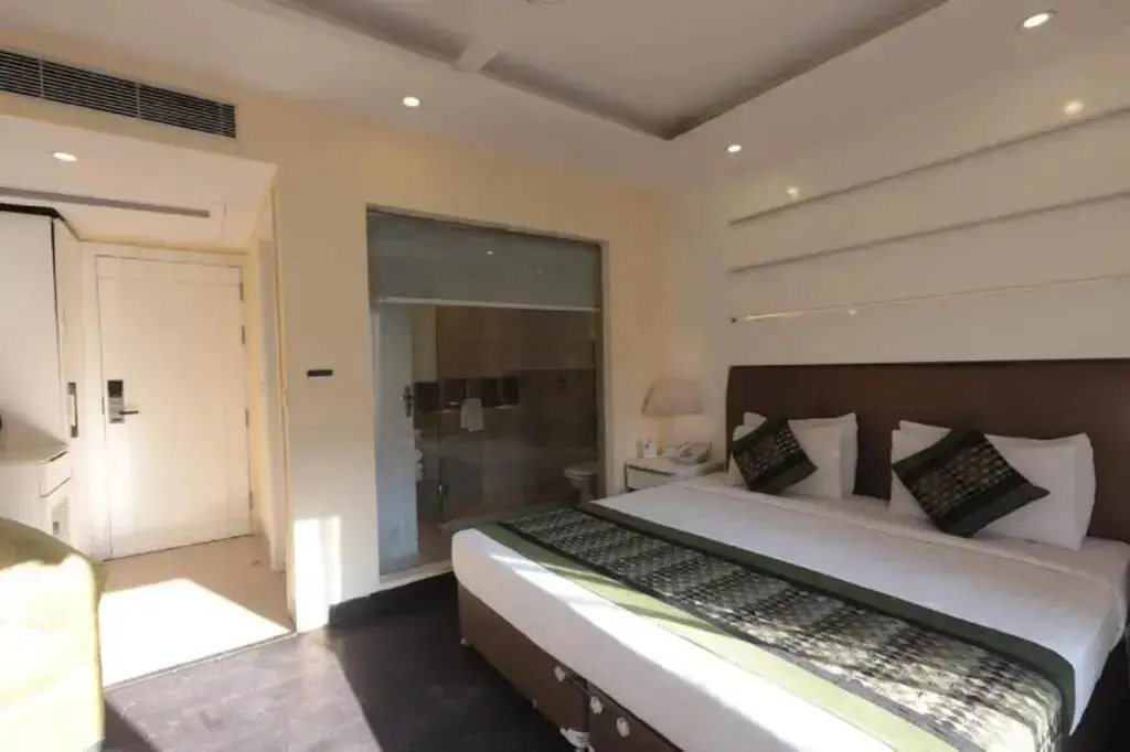 Нью-Дели: Hotel Picasso Naraina