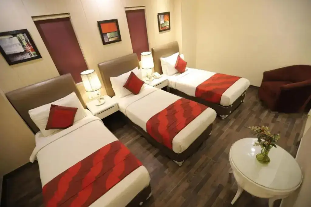 Нью-Дели: Hotel Picasso Naraina