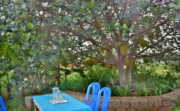 Ваниямбади: Yelagiri Farm House