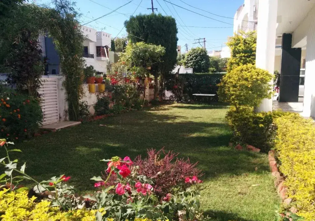 Удаипур: Singhvis Homestay