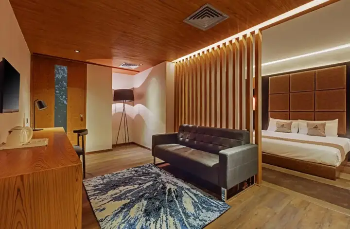 Бангалор: Hotel Euphoria