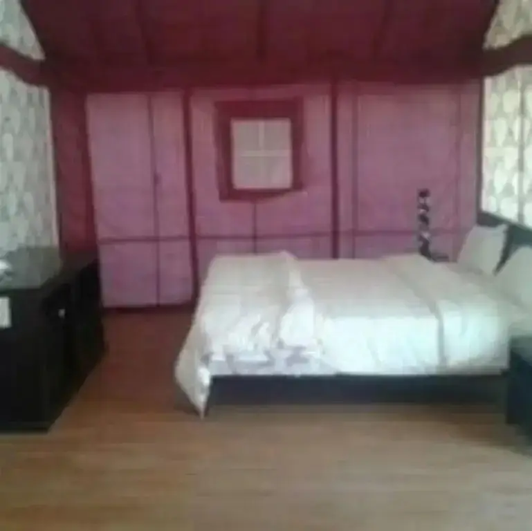 Джайсалмер: Vista Exotic at Sam Sand
