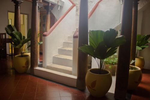 Пудучерри: The House Of Blue Mangoes Villa Stay