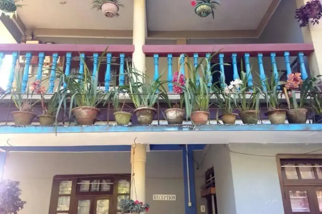 Damsang Guest House — фото 1
