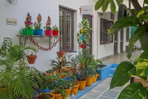 Фатехпур-Сикри: Iora Guest House