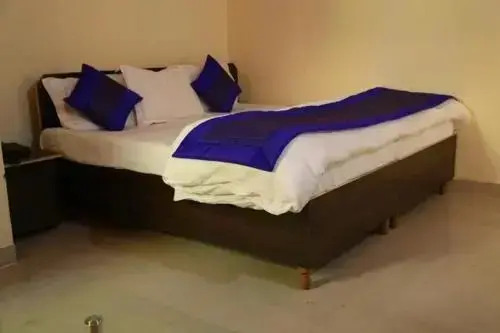 Нью-Дели: Airport Hotel Dream Palace