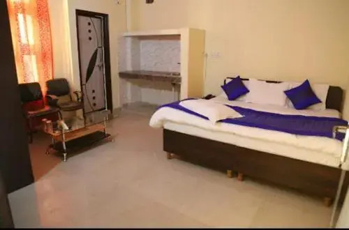Нью-Дели: Airport Hotel Dream Palace