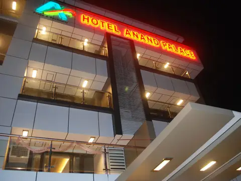 Hotel Anand Palace — фото 1