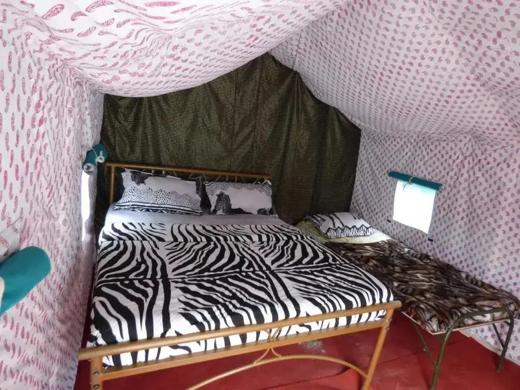 Ришикеш: Mogli Camps