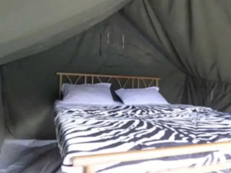 Ришикеш: Mogli Camps