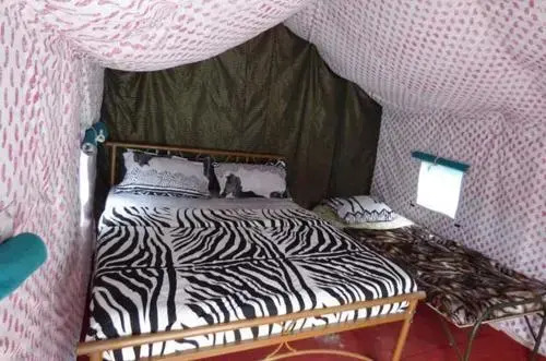 Ришикеш: Mogli Camps