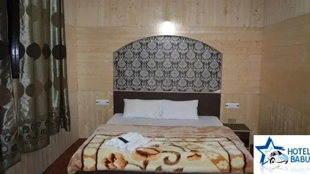 Шринагар: Hotel Babu