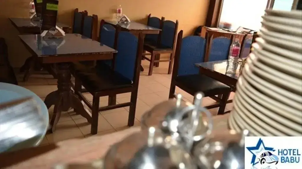Шринагар: Hotel Babu