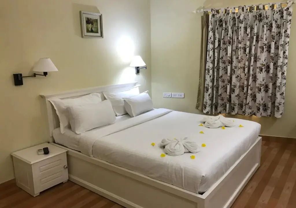 Коччи: Daffodils Spice Court