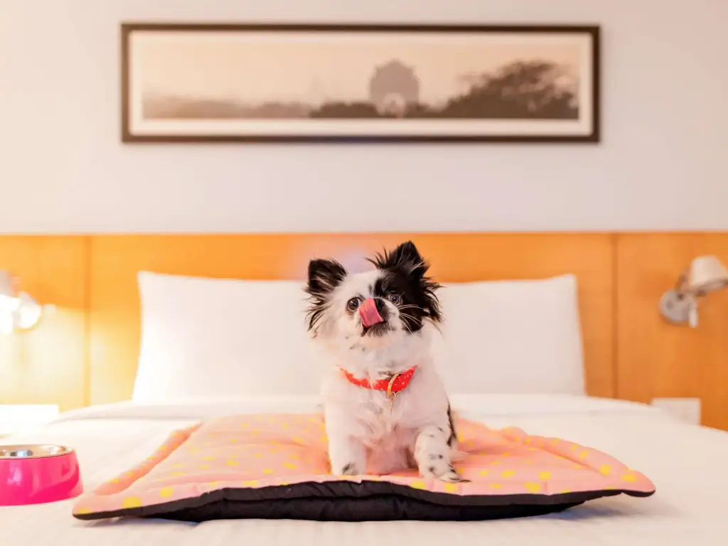 Ченнаи: ibis Chennai City Centre Hotel