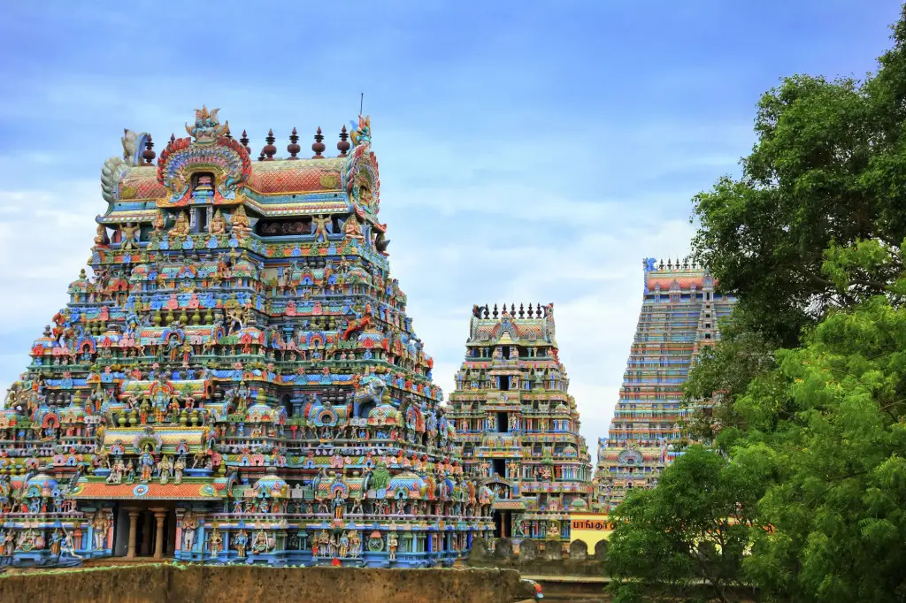 Ченнаи: ibis Chennai City Centre Hotel