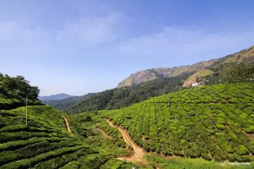 Муннар: Munnar Homestay