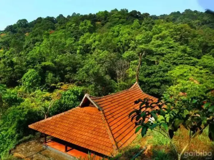 Велламундра: Rain Country Resort