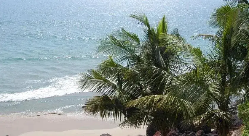 Варкала: Seashore Beach Resort Varkala