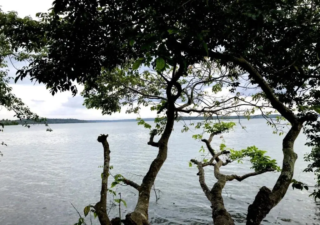 Паравур: Lake n River Resort Munroe Island