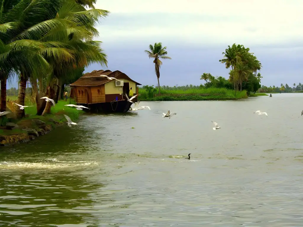 Чампакулам: Sunny Days Homestay Alleppey