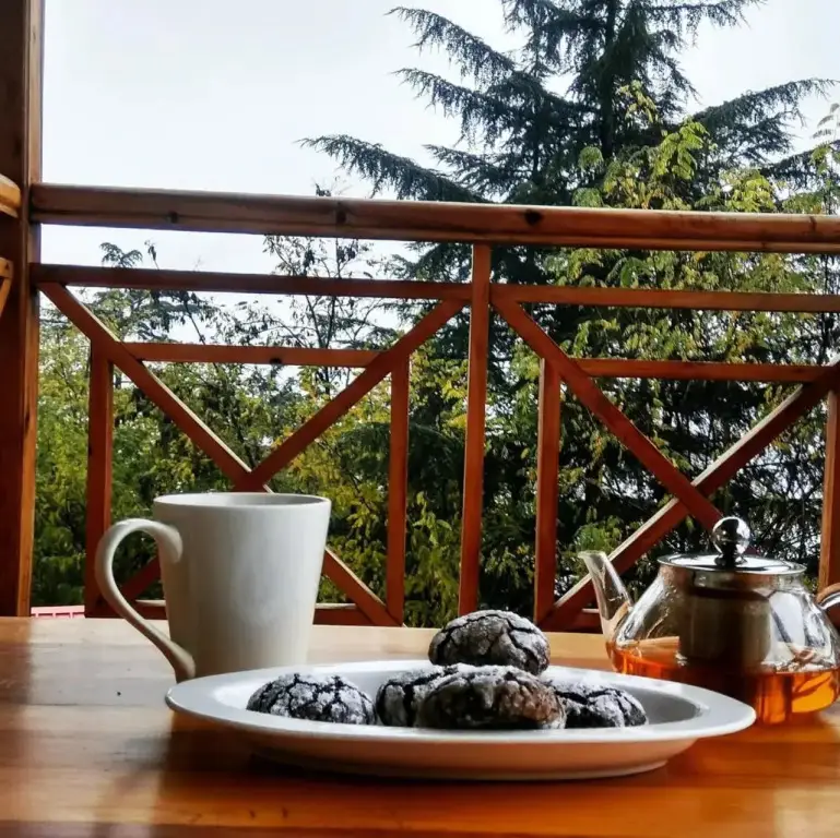 Наггар: Soham's Chateau De Naggar