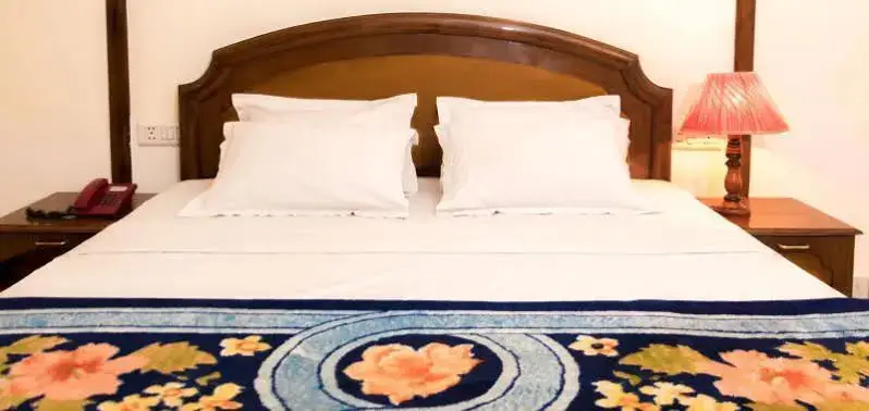 Джаландхар: Hotel Taramount