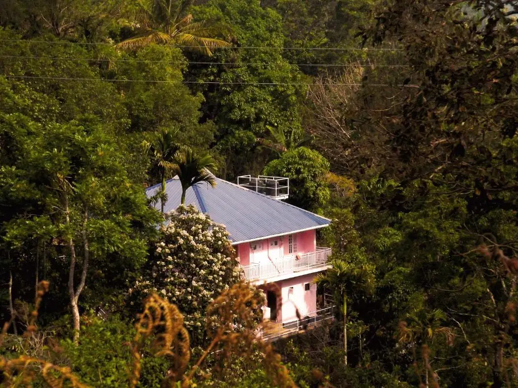 Муннар: Drizzle Valley Cottage