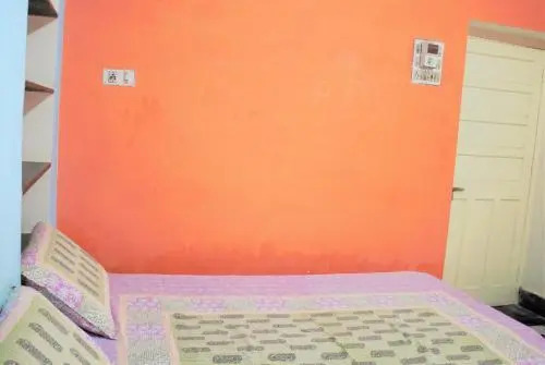 Удаипур: Pleasure Guest House