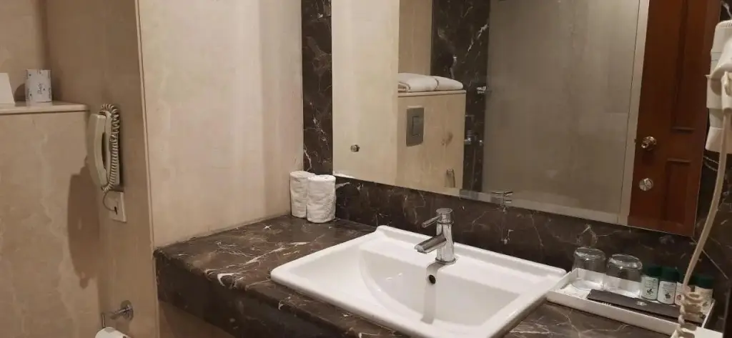 Нью-Дели: The Hans Hotel New Delhi