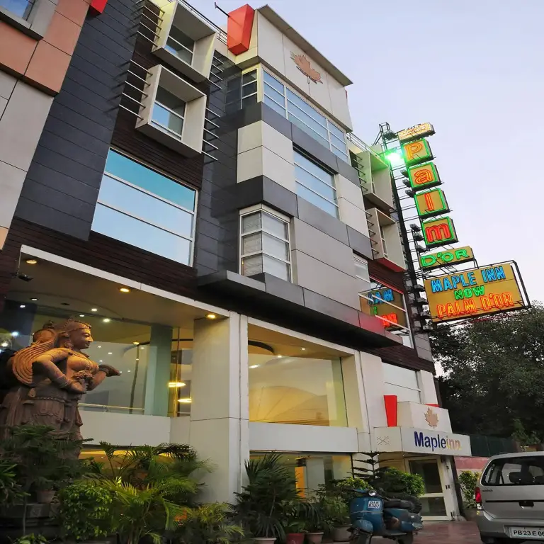 Trimrooms Palm D'or — фото 1