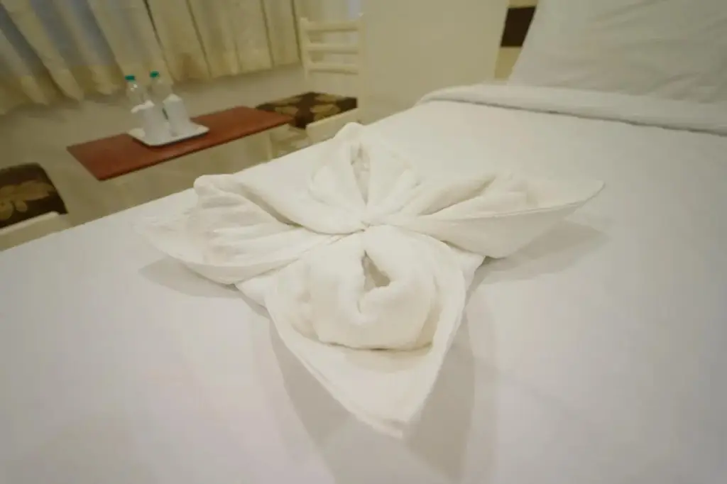 Маниячи: Hotel Palmyra Grand Inn