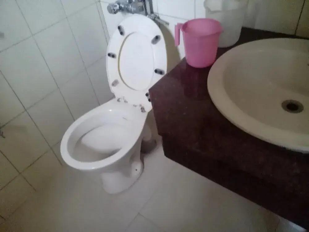 Ути: Hotel Preethi Palace