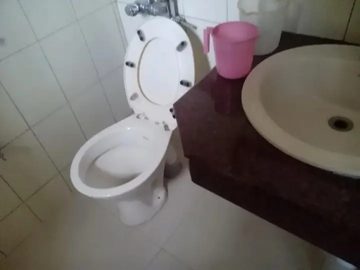 Ути: Hotel Preethi Palace