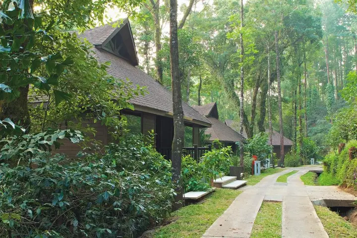 Какабе: The Tamara Coorg