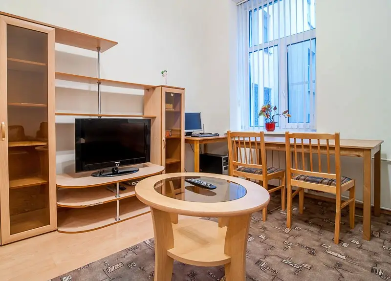Апартаменты PiterStay Пушкинская 6 — фото 1