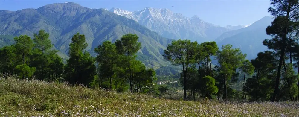 Кангра: Club Mahindra Kangra Valley