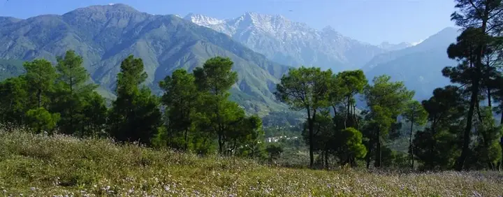 Кангра: Club Mahindra Kangra Valley