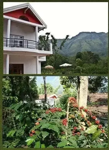 Шиккамагалуру: Coffee County Stays