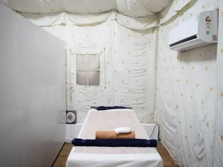 Удаипур: The Aravali Tent Resort