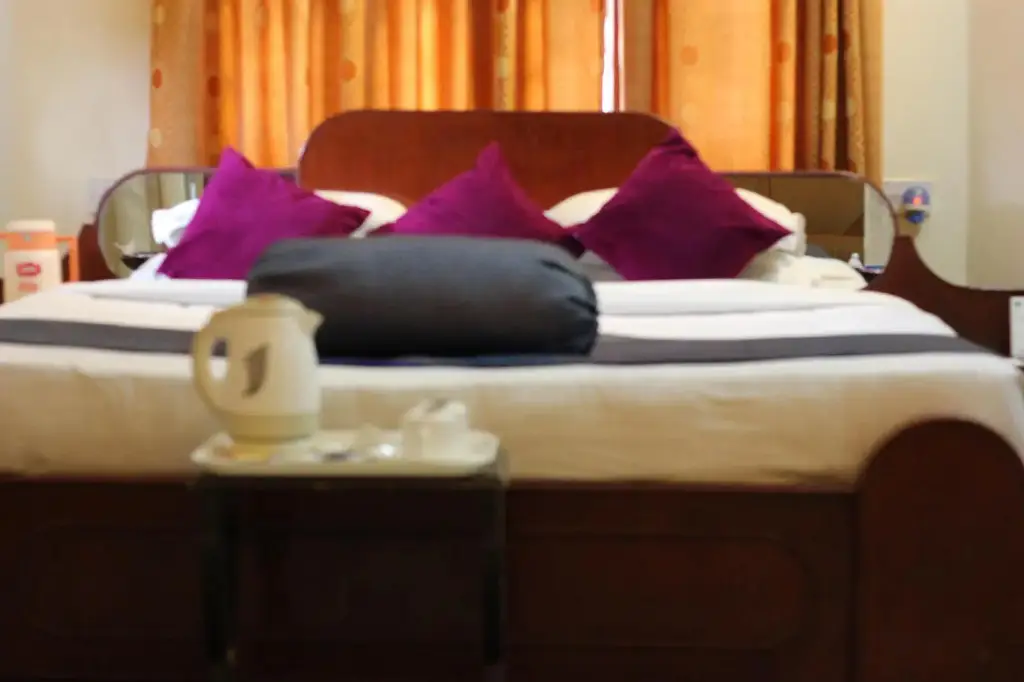Удаипур: Oriental Palace Resort